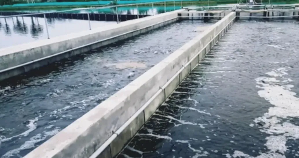 Onshore Aquaculture Tanks