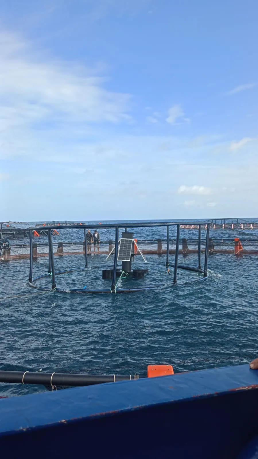 EyeFish Intelligent Buoy Deployment