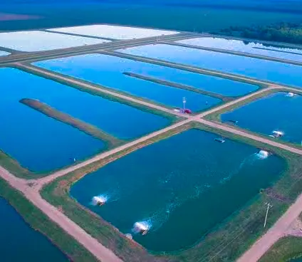 Inland Earthen Ponds